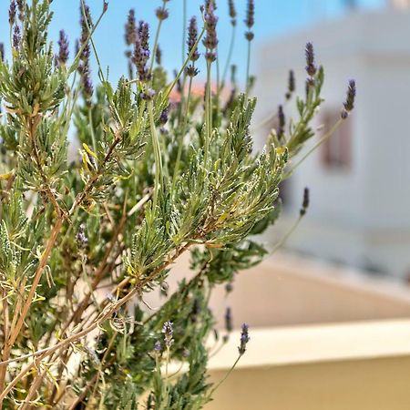 Island Of Luxury Apartments Ermoupoli Exterior photo