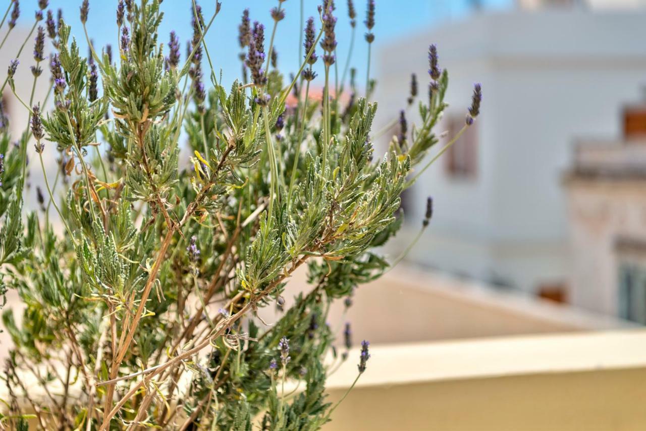 Island Of Luxury Apartments Ermoupoli Exterior photo